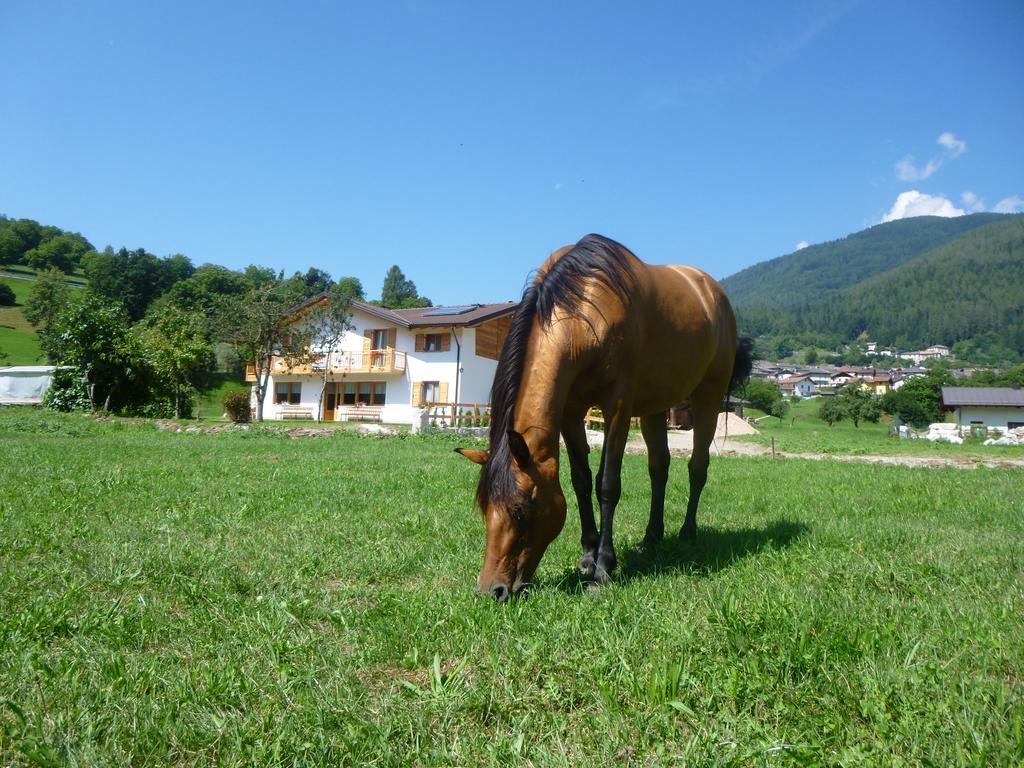 Agriturismo Fattoria Dalcastagne Torcegno Luaran gambar