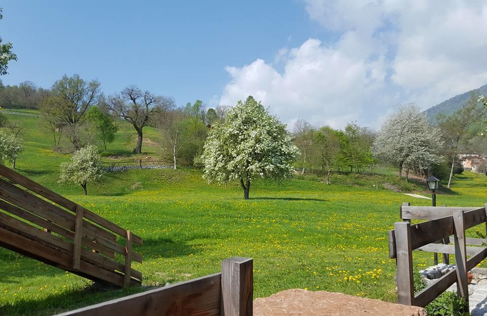 Agriturismo Fattoria Dalcastagne Torcegno Luaran gambar