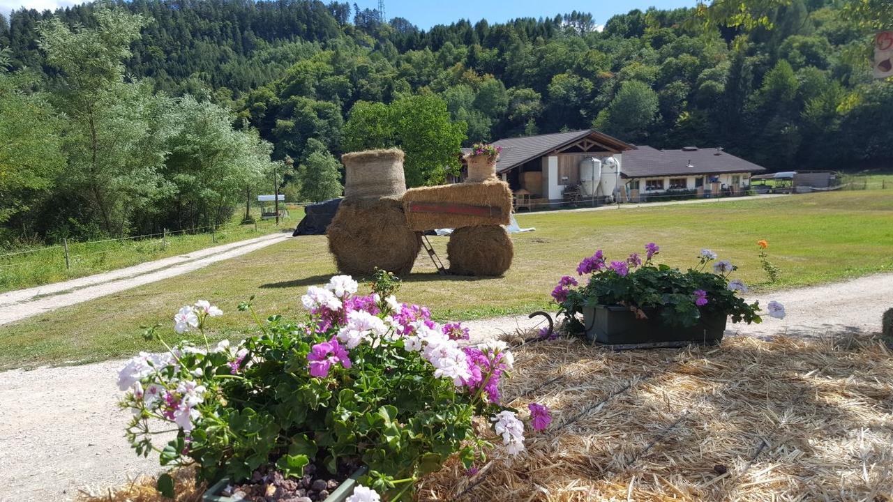 Agriturismo Fattoria Dalcastagne Torcegno Luaran gambar