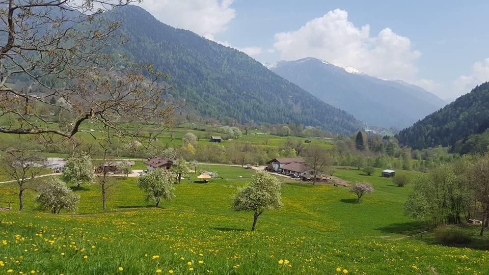 Agriturismo Fattoria Dalcastagne Torcegno Luaran gambar